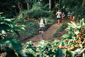 BIB: 
                            <button type="button" onclick="openModal(25841468)" class="btn btn-primary btn-sm float-right btn-popup" data-toggle="modal" data-target=".modal-high-quality">
                        <i class="fas fa-shopping-cart"></i> Add to Cart
                    </button>
                                            <button type="button" onclick="isThisMe(25841468, true)" class="btn btn-success btn-sm float-right btn-popup btn-isme hidden" data-toggle="tooltip" data-placement="bottom" title="นี่คือรูปของคุณใช่ไหม คลิกที่นี่เพื่อเอาเข้าอัลบั้ม">
                        <i class="fas fa-plus"></i> Add to album
                    </button>
                    <button type="button" onclick="isThisMe(25841468, false)" class="btn btn-warning btn-sm float-right btn-popup btn-isnotme hidden">
                        <i class="fas fa-ban"></i> Remove from album
                    </button>